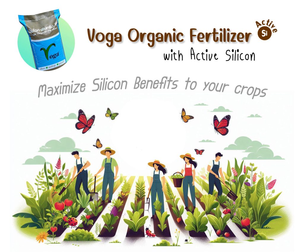 Voga Organic Silicon Fertilizer