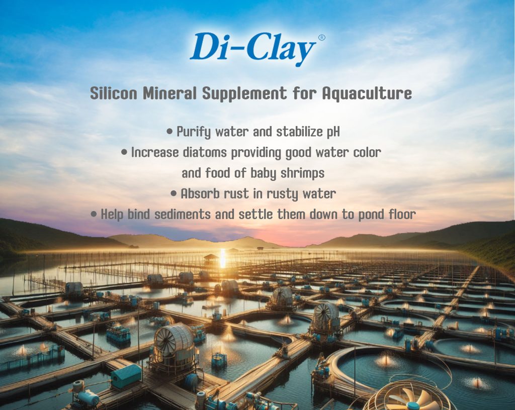 Silicon Minerals for Aquaculture