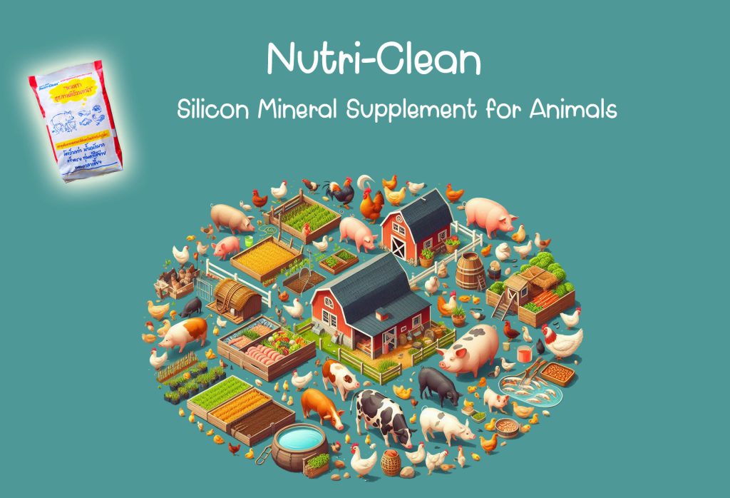 Silicon Minerals for Animal feed