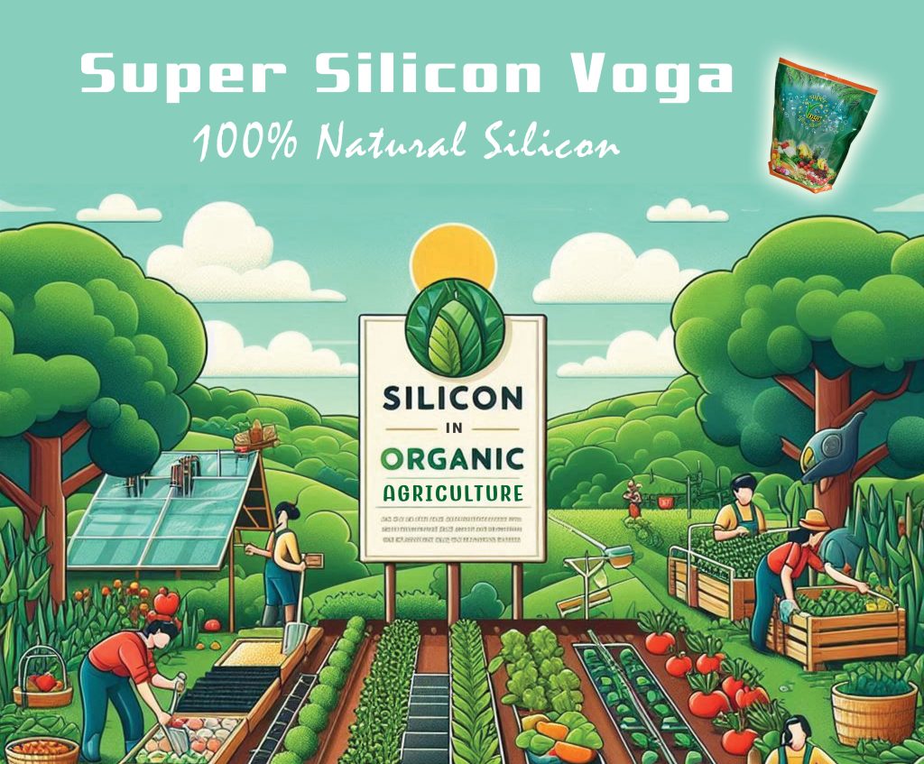 Silicon For Agriculture